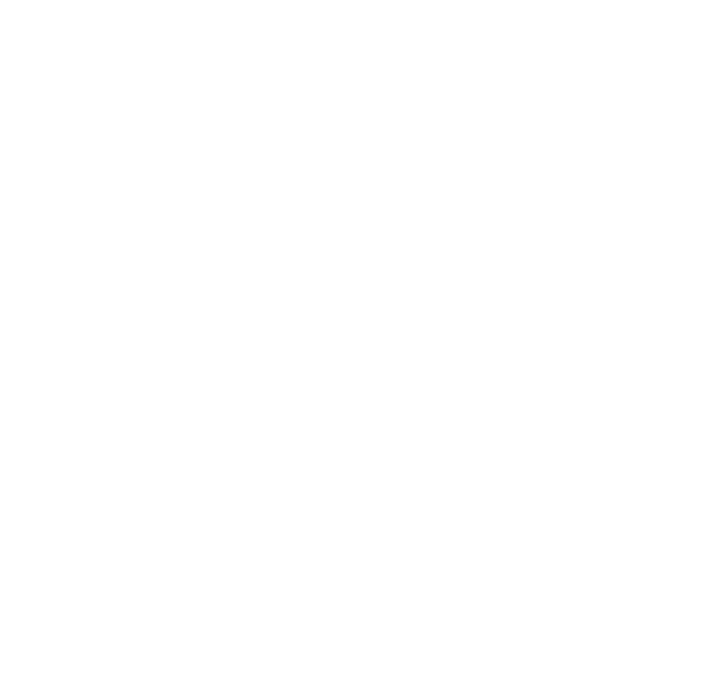 JULIE EHME